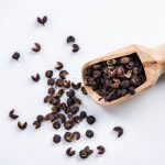 Timut Szechuanpfeffer