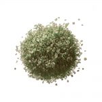 Original Hawaii Salz grün