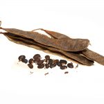 Flohsamen schwarz ganz